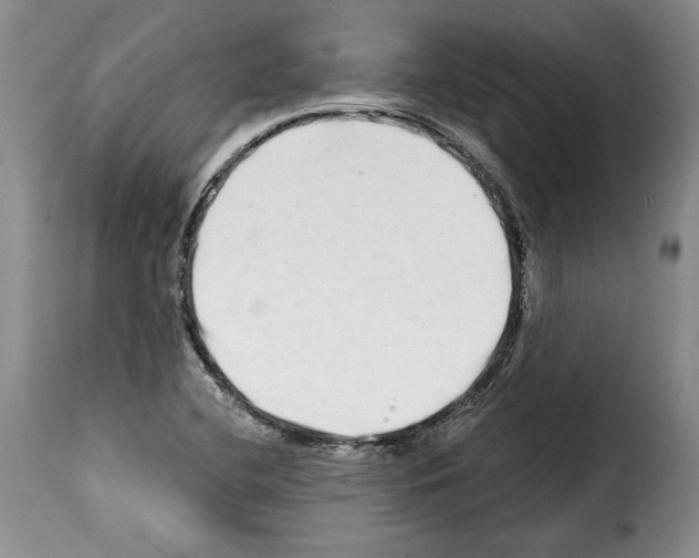 X0000114201412200911200949