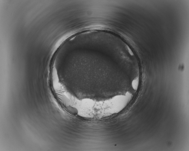 X0000114201418200911200949