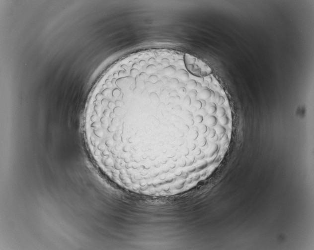 X0000114201420200911200949