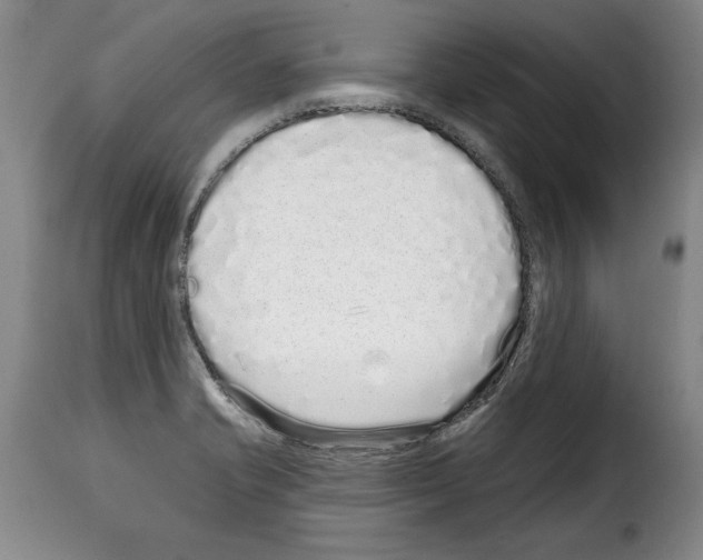 X0000114201421200911200949