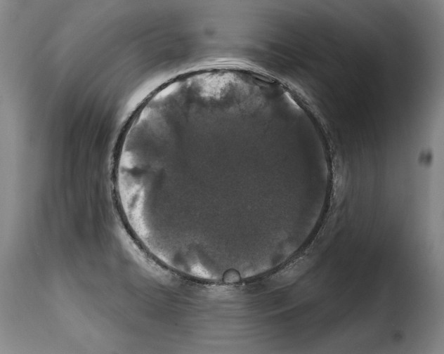 X0000114201422200911200949