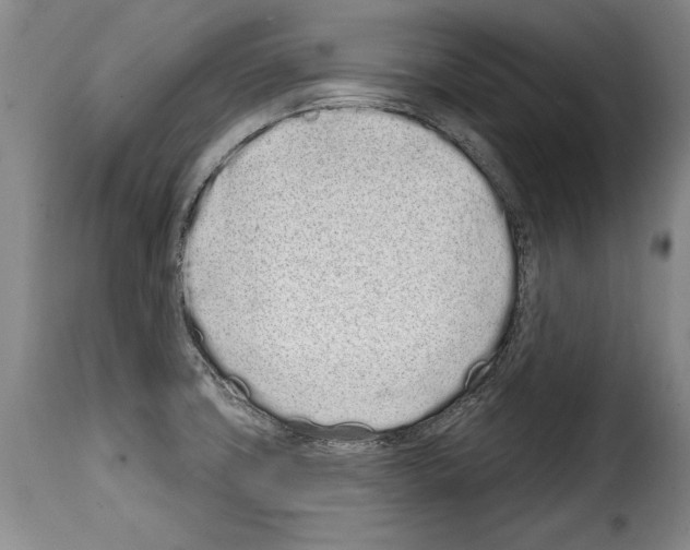 X0000114201427200911200949