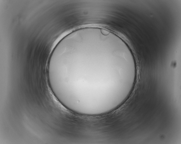 X0000114201428200911200949