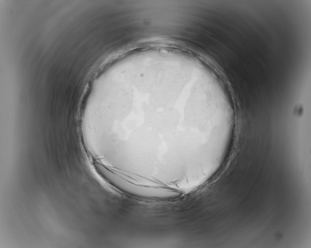 X0000114201429200911200949