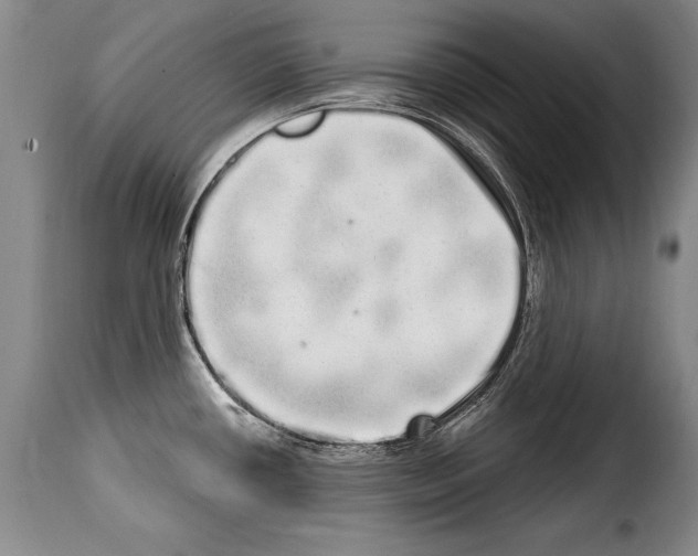 X0000114201434200911200949