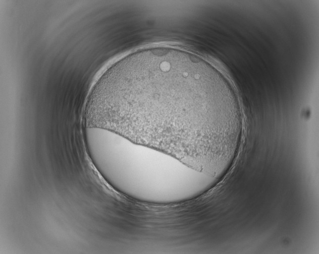 X0000114201436200911200949