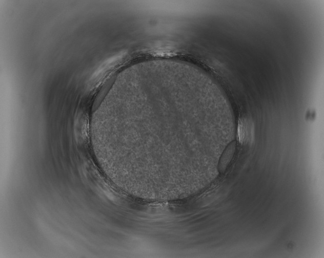 X0000114201444200911200948