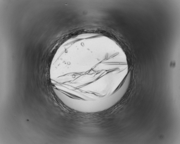 X0000114201445200911200948