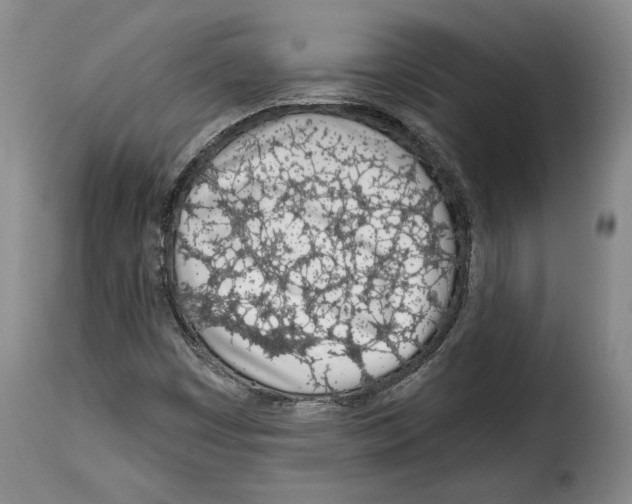 X0000114201449200911200948