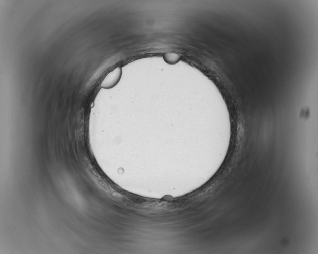 X0000114201450200911200948