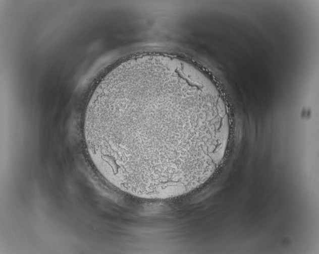 X0000114201454200911200948