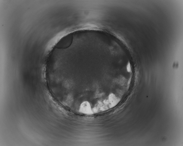 X0000114201455200911200948