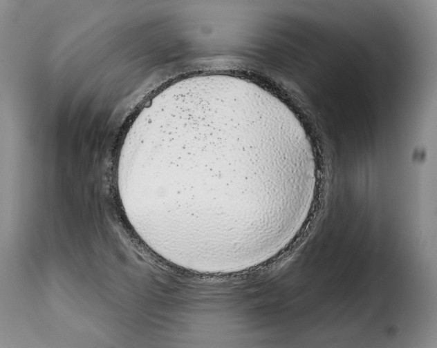 X0000114201457200911200948