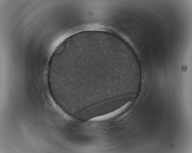 X0000114201463200911200948