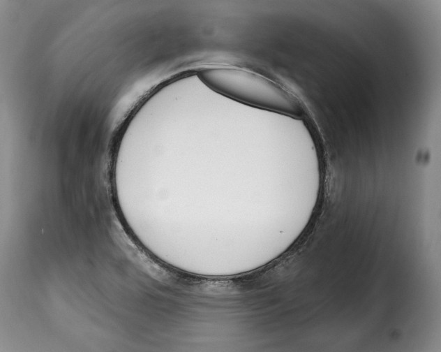 X0000114201464200911200948