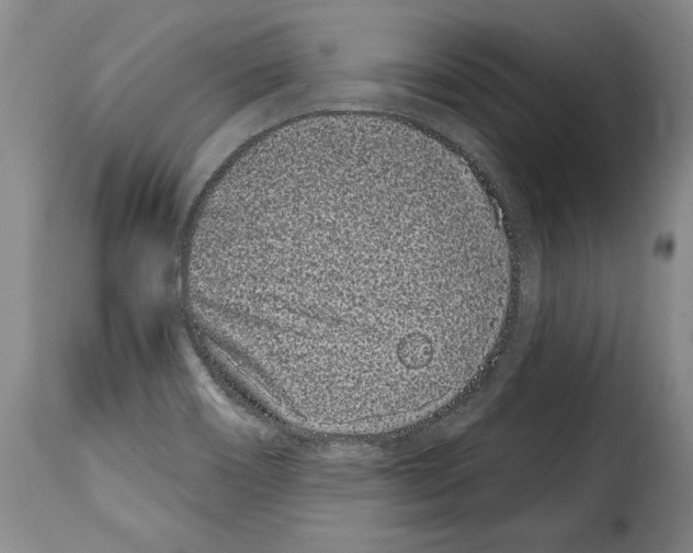 X0000114201466200911200948