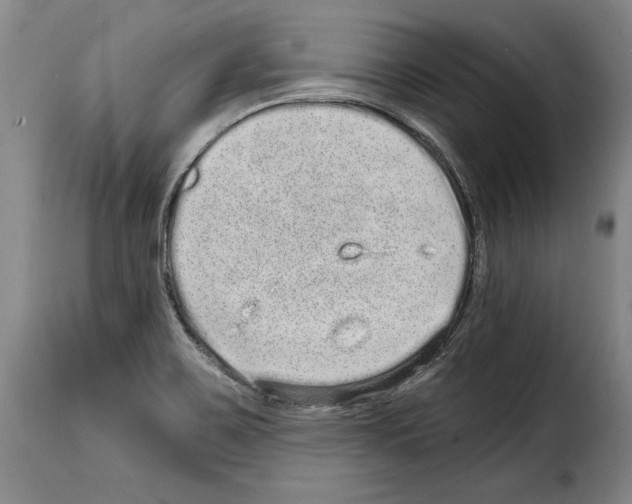 X0000114201467200911200948