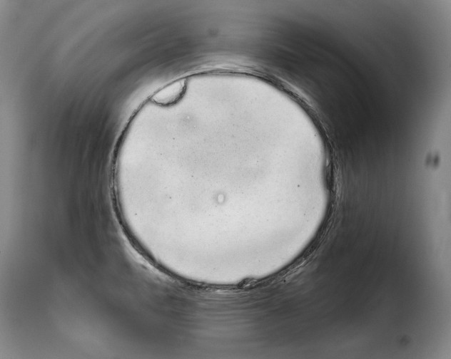 X0000114201471200911200948