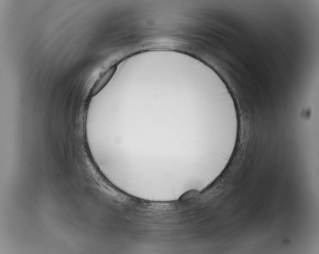 X0000114201477200911200948