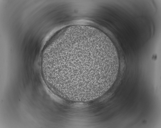 X0000114201478200911200948