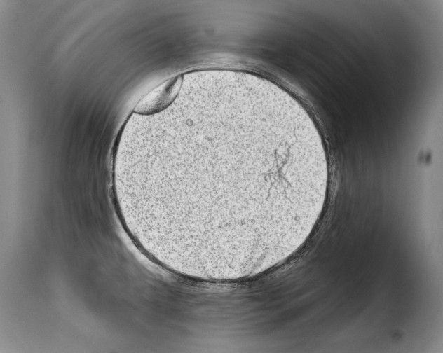 X0000114201479200911200948