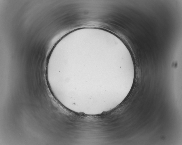 X0000114201480200911200948