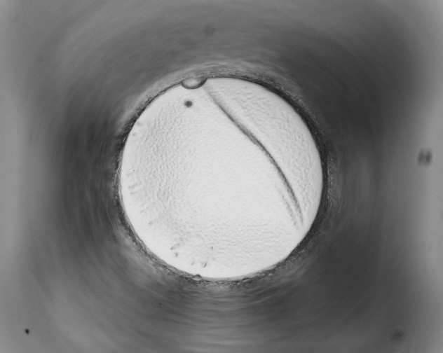 X0000114201500200911200947