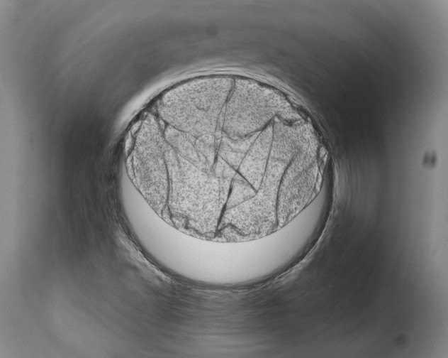 X0000114201502200911200947