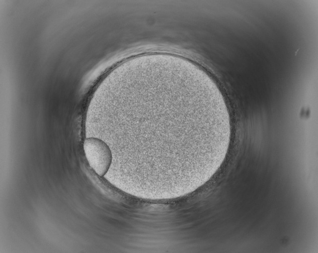 X0000114201503200911200947