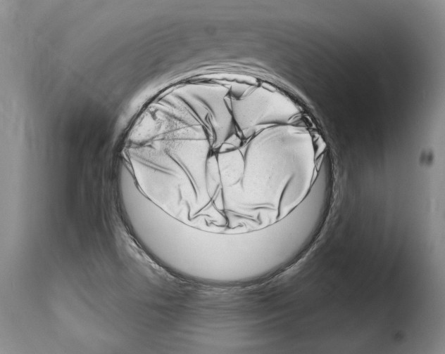 X0000114201506200911200947