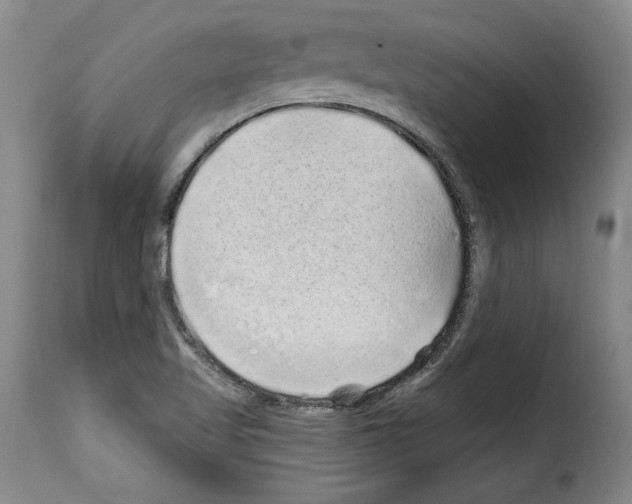 X0000114201509200911200947