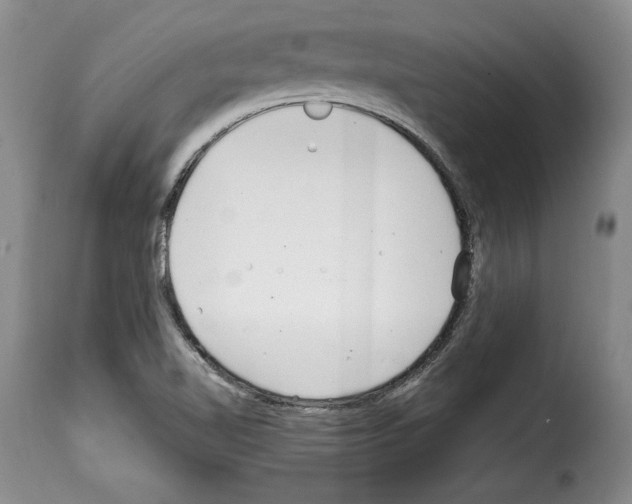 X0000114201510200911200947