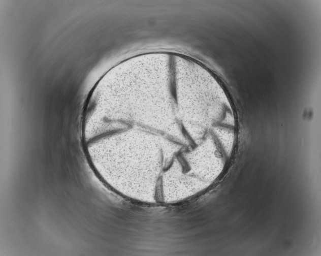 X0000114201512200911200947