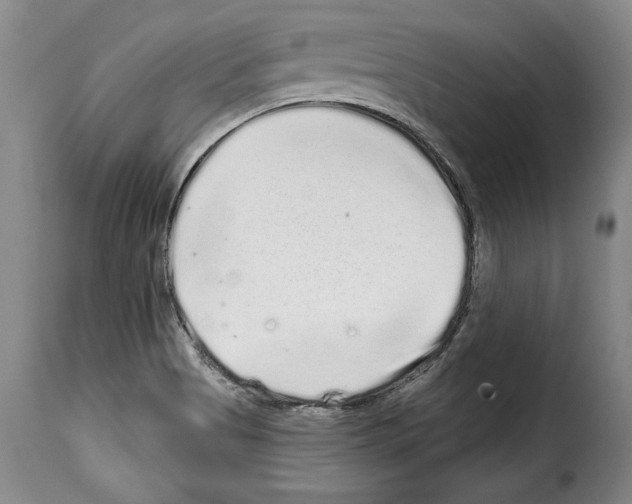 X0000114201513200911200947