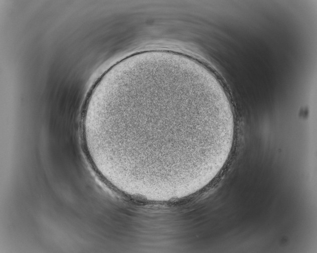 X0000114201517200911200947