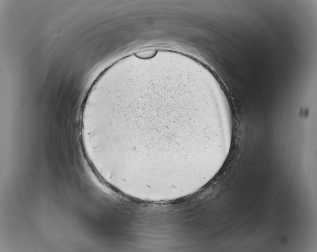 X0000114201519200911200947