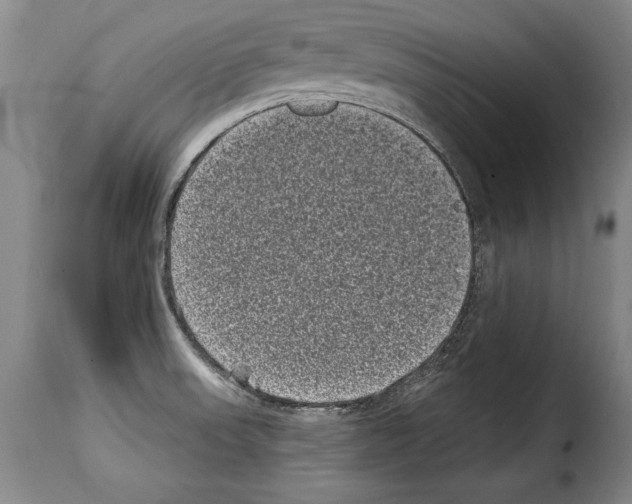 X0000114201523200911200948