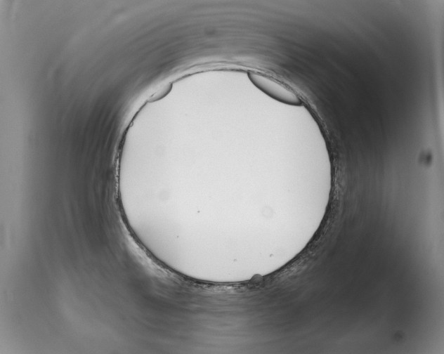 X0000114201524200911200948