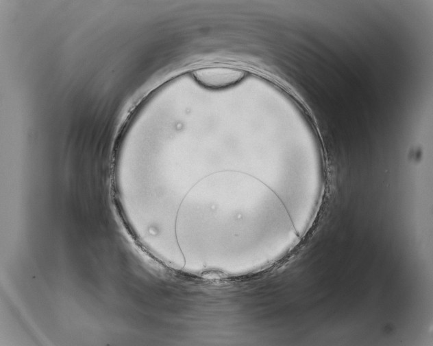 X0000114201525200911200948