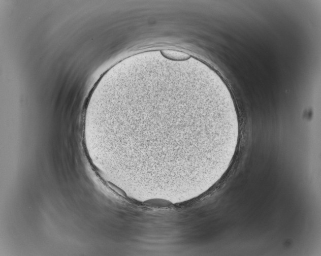 X0000114201526200911200948