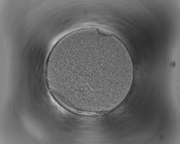 X0000114201527200911200948