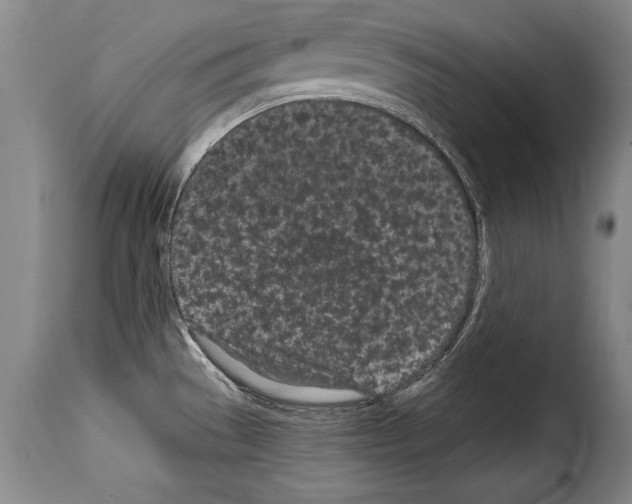 X0000114201529200911200948