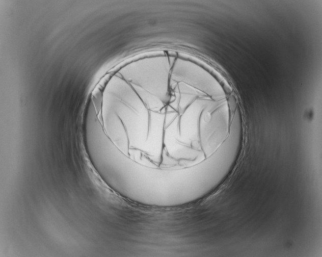 X0000114201530200911200948