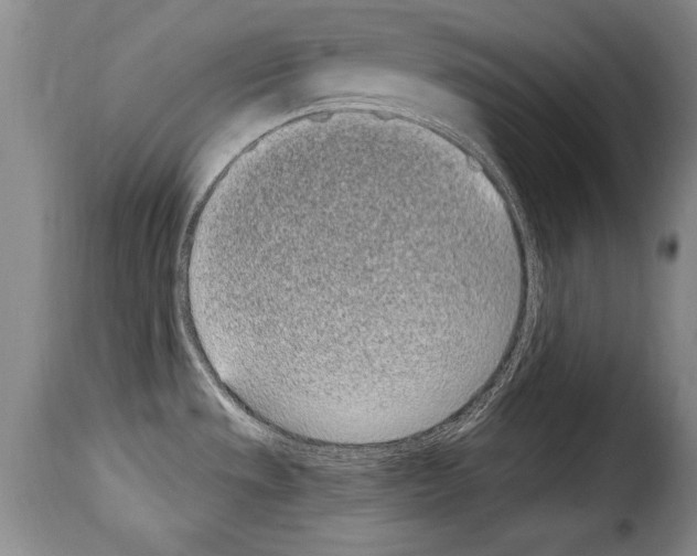 X0000114201533200911200948