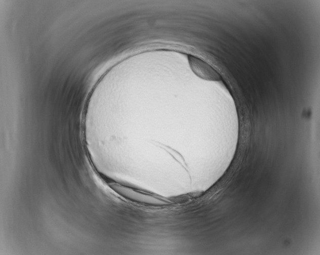 X0000114201535200911200948