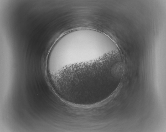 X0000114210002200910091038