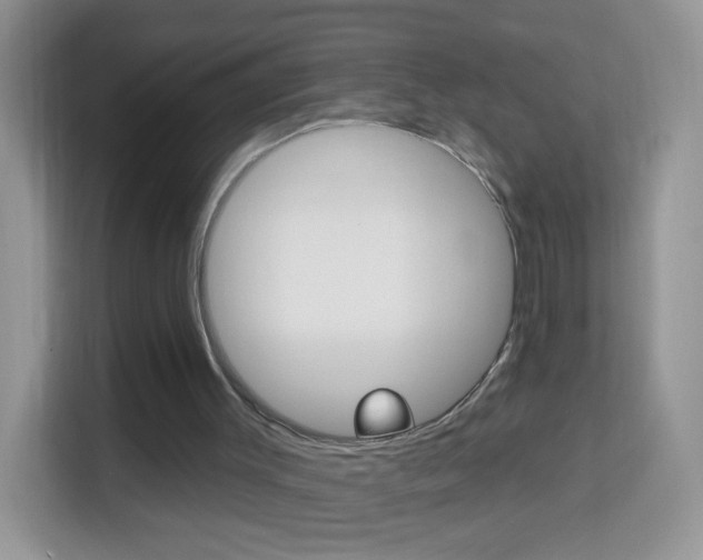 X0000114210003200910091038