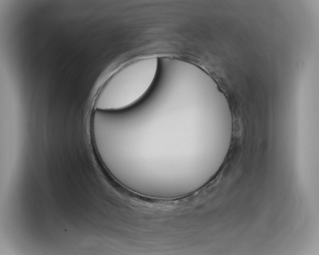 X0000114210004200910091038