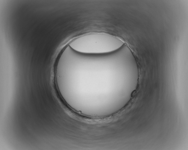 X0000114210005200910091038