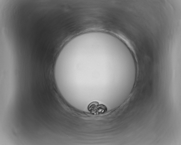 X0000114210009200910091038